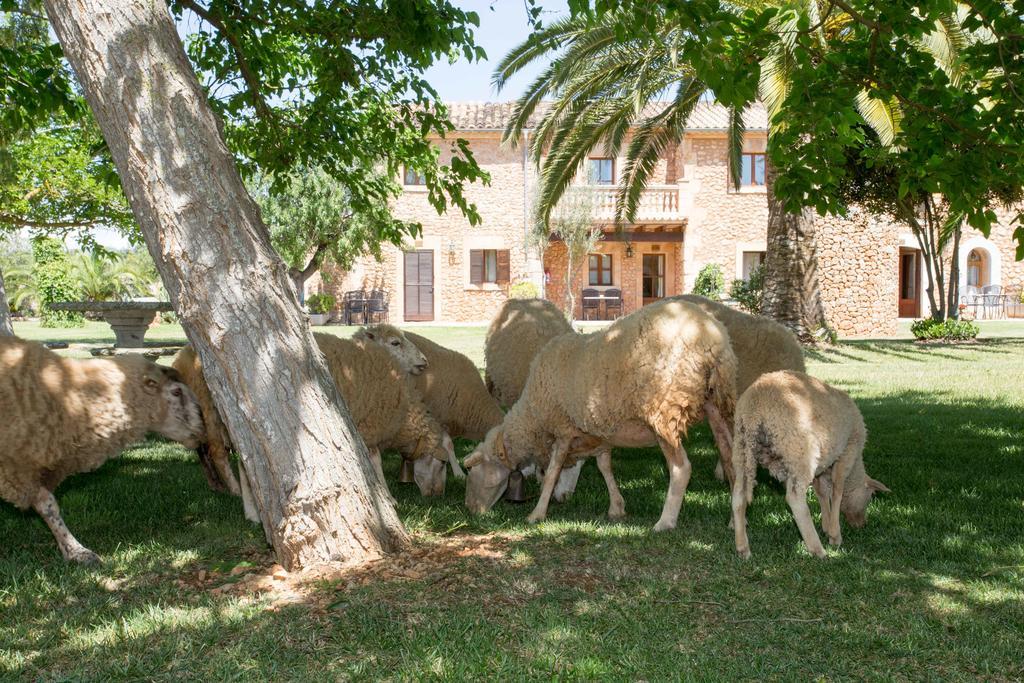 Agroturismo Es Quatre Cantons Binissalem Exterior photo